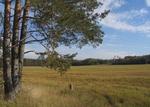 Land for sale in Latvia