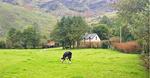 The Glens, , Co. Cork