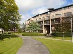 117 Loreto Abbey, , Dublin 14