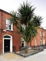 Apt 3, 36 Goldmsith Street, , Dublin 7