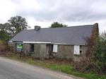 Newberry, Castlemarrtin Lodge, , Co. Kildare