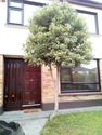 112 Beaufort Downs, , Dublin 14, , Dublin 14