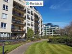 The Pines, Herbert Park Lane, , Dublin 4