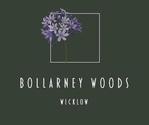 New Homes - Bollarney Woods, , Co. Wicklow