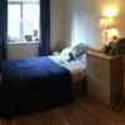 Large Double Bedroom Available in Wilton, 