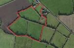 12.5 Acres Agricultural Land With Site Potential, Clonsast Lower, Bracknagh, , Co. Laois