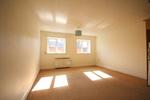 Balrath Woods, , Co. Meath
